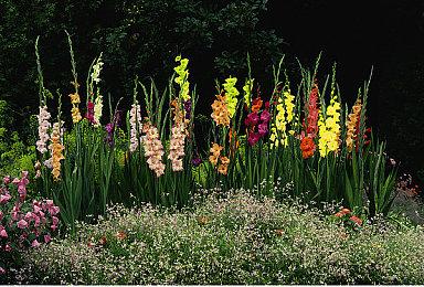 《心灵杀手2》存在严重的声音丢失和字幕问题